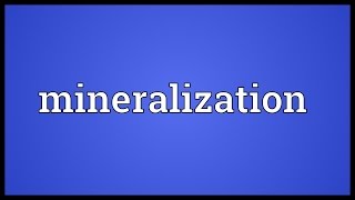 Mineralization Meaning [upl. by Accebber]