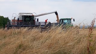 Žně 2023 l Žně pšenice ozimé l kombajn newholland L626 fiatagriodvoz John Deere 7910 [upl. by Aseiram]