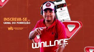 Alô Novinha  Fabio amp Fabinho Remix  DJ Wallace Silva [upl. by Enieledam]