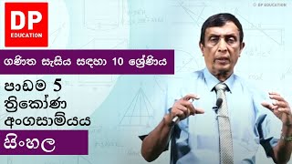 පාඩම 5  ත්‍රිකෝණ අංගසාම්යය  ගණිත සැසිය සඳහා 10 ශ්‍රේණිය DPEducation Grade10Maths Triangles [upl. by Haskell191]