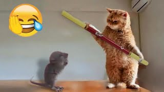 😂 You Laugh You Lose 😹 New Funny Animals 2024 😹 [upl. by Shaikh300]