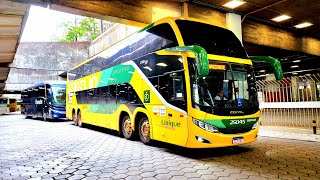 Muitos ÔNIBUS BONITOS na Rodoviária de BH Feriadão 12 de Outubro [upl. by Zoara691]