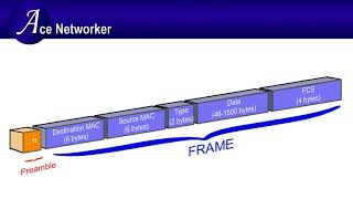 Ethernet Frame Format Explanation [upl. by Ynahpets349]