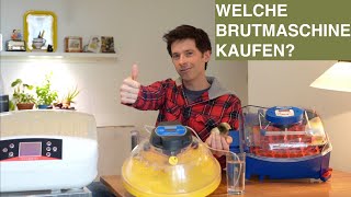 Welche BRUTMASCHINE kaufen Top Brutmaschinen von 50  329 Euro [upl. by Dietsche]