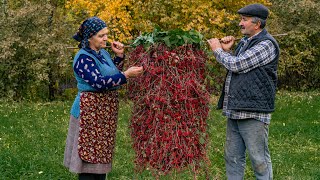 Winter Preparation Wild Barberry Harvesting and Preservation [upl. by Alys541]