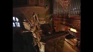 J S Bach Toccata and Fugue in D Minor BWV 565 [upl. by Ibrek]