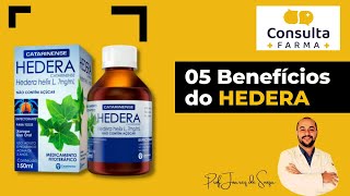 05 Benefícios da Hedera Helix L [upl. by Rebane]