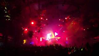 Gaia  Status Excessu D by Armin van Buuren on A State of Trance 500 live  UMF 2011 in Miami [upl. by Irrek]