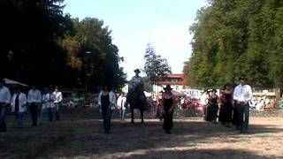 Tag des Pferdes Böheimkirchen WesCo Liners Achy Breaky mit pferd Linedance [upl. by Autrey]