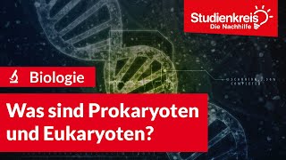 Was sind Prokaryoten und Eukaryoten  Biologie verstehen mit dem Studienkreis [upl. by Woothen]