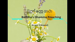 Dhammapada Gatha  යථාපි පුප්ඵ රාසිම්හා [upl. by Ayyidas]