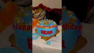 Schipperke “Bear” first birthdaycelebration 🎊🎉🎂 [upl. by Dhu]