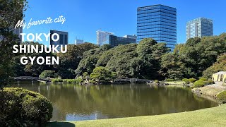 【東京Walk】新宿御苑の広大な芝生と庭園に印象アップ｜ピクニック [upl. by Rebmac]