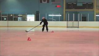 iTrain Hockey Puck Protection [upl. by Hannis]