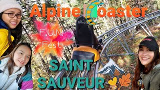 Viking Alpine Coaster Mont Saint Sauveur [upl. by Rimhsak]