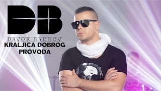 Davor Badrov  Kraljica dobrog provoda Official Video 2015 [upl. by Karee]