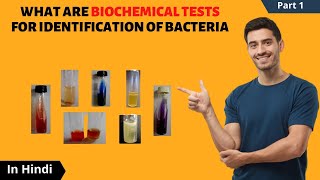 Biochemical Tests for Identification of Bacteria  in Hindi  CatalaseOxidaseICUT tests [upl. by Annekam]