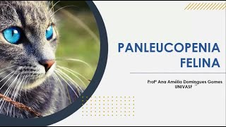 PANLEUCOPENIA FELINA  ANA AMÉLIA DOMINGUES GOMES  IV SIMPONEDI [upl. by Sylera20]