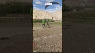 Paragliding in LEH INDIA paragliding view mountains lehladakh [upl. by Ihtraa]