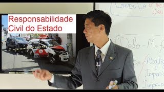 Responsabilidade Civil do Estado  Introdução  Aula 140  Eduardo Tanaka  D Administrativo [upl. by Netta762]