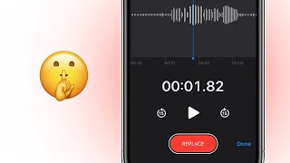 How to Secretly Record Voice on iPhone [upl. by Gardel951]