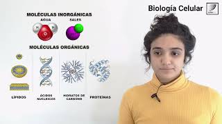 7 Biología Celular Generalidades de la organización molecular de las células [upl. by Lindly]