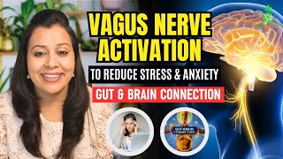 Vagus Nerve Activation Yoga  Gut amp Brain connection  Stress amp Anxiety Reduction [upl. by Alokin]