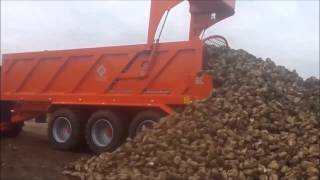 The Larrington Beet Chaser Trailer [upl. by Fritz]