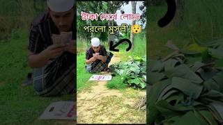 পাগলে ও টাকা চিনে vairalvideo youtubeshort tanding video comedy [upl. by Cooperman]