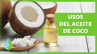 BENEFICIOS del ACEITE de COCO 🥥✅ Propiedades Usos y Contraindicaciones [upl. by Bordiuk]