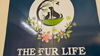 The Fur Life Pet Care  Veterinary Hospital  Sector 46 Gurgaon Haryana Vet Hospital Visitvlog [upl. by Ahsenroc]