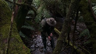 Delatite river trout fishing [upl. by Peyton]