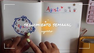 SEGUIMIENTO por SEMANA AGOSTO budgetplanner [upl. by Aretak]