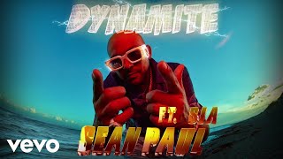 Sean Paul  Dynamite Visualiser ft Sia [upl. by Anrapa]