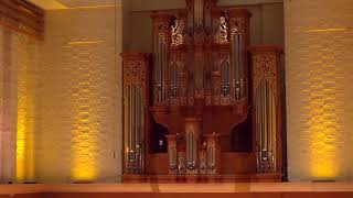 Buxtehude Te Deum Laudamus BuxWV 218 [upl. by Yorke]