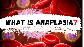 What is Anaplasia  Anaplasia [upl. by Siloam531]