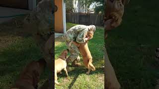 Soldiers Heartwarming Reunion with Loyal Dogs [upl. by Anelra]