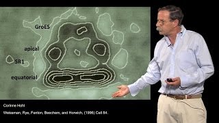 Arthur Horwich YaleHHMI Part 3 Where are proteins folded by chaperonins [upl. by Villada]