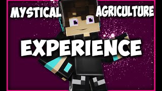 Mystical Agriculture Experience Essence Wofür man sie braucht  minecraft Tutorial [upl. by Leola]