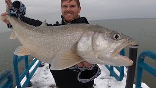 How To Pier Fish For Salmon Steelhead And Lake Trout Casting From Shore [upl. by Claudine312]