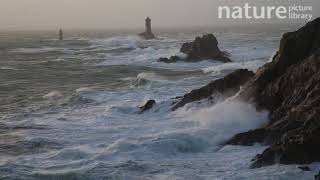 Winter storm at the Pointe du Raz in Finistere with the Vieille Lighthouse Brittany France [upl. by Doig]