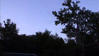 Birdsong at dusk in England Nightingales Hammerwood June 2013 [upl. by Rosenkranz]