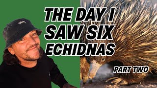 The Day I Saw Six Echidnas  Part Two [upl. by Joao]