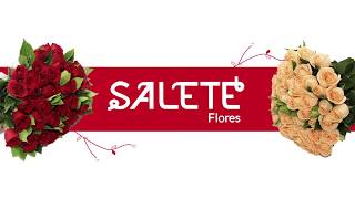 Salete Flores [upl. by Bechler460]