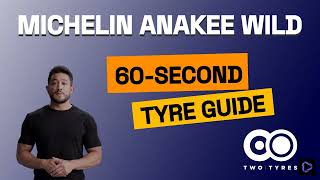 Michelin Anakee Wild  Motorcycle Tyres Review  60second Guide [upl. by Radman]