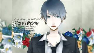 【KAITO V3】Caged Flower English and romaji subs [upl. by Kalb699]