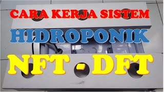 BEGINI CARA KERJA SISTEM NFT amp DFT HIDROPONIK [upl. by Dasie]