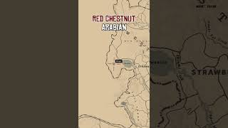 4 RARE Arabian Horses Location In RDR2 rdr2 reddeadredemption [upl. by Hamlet]