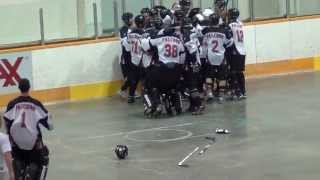 Amazing Goals Of 2012 BCBHA BC Ball Hockey Provincials quotAquot Division Ball Hockey Provincial [upl. by Meares]