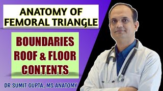 FEMORAL TRIANGLE  ANATOMY [upl. by Hausner]